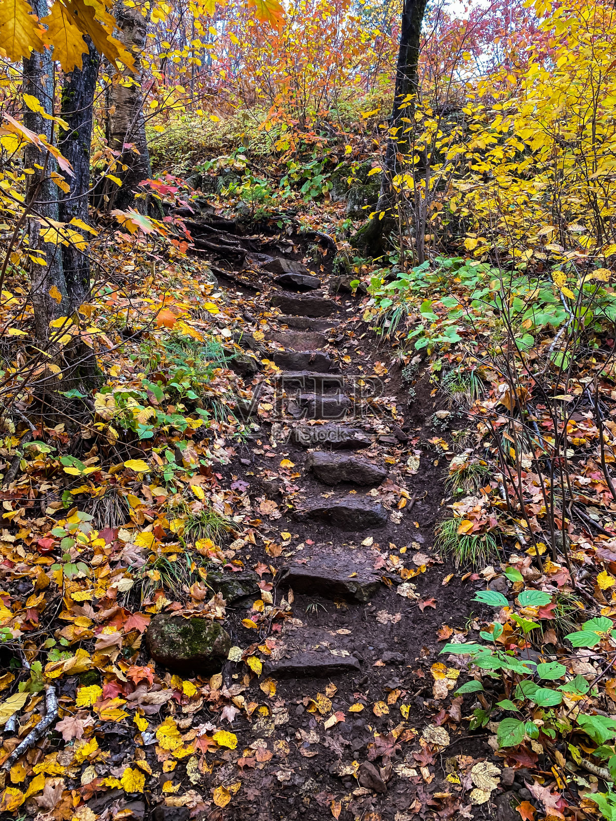 秋色的步骤照片摄影图片