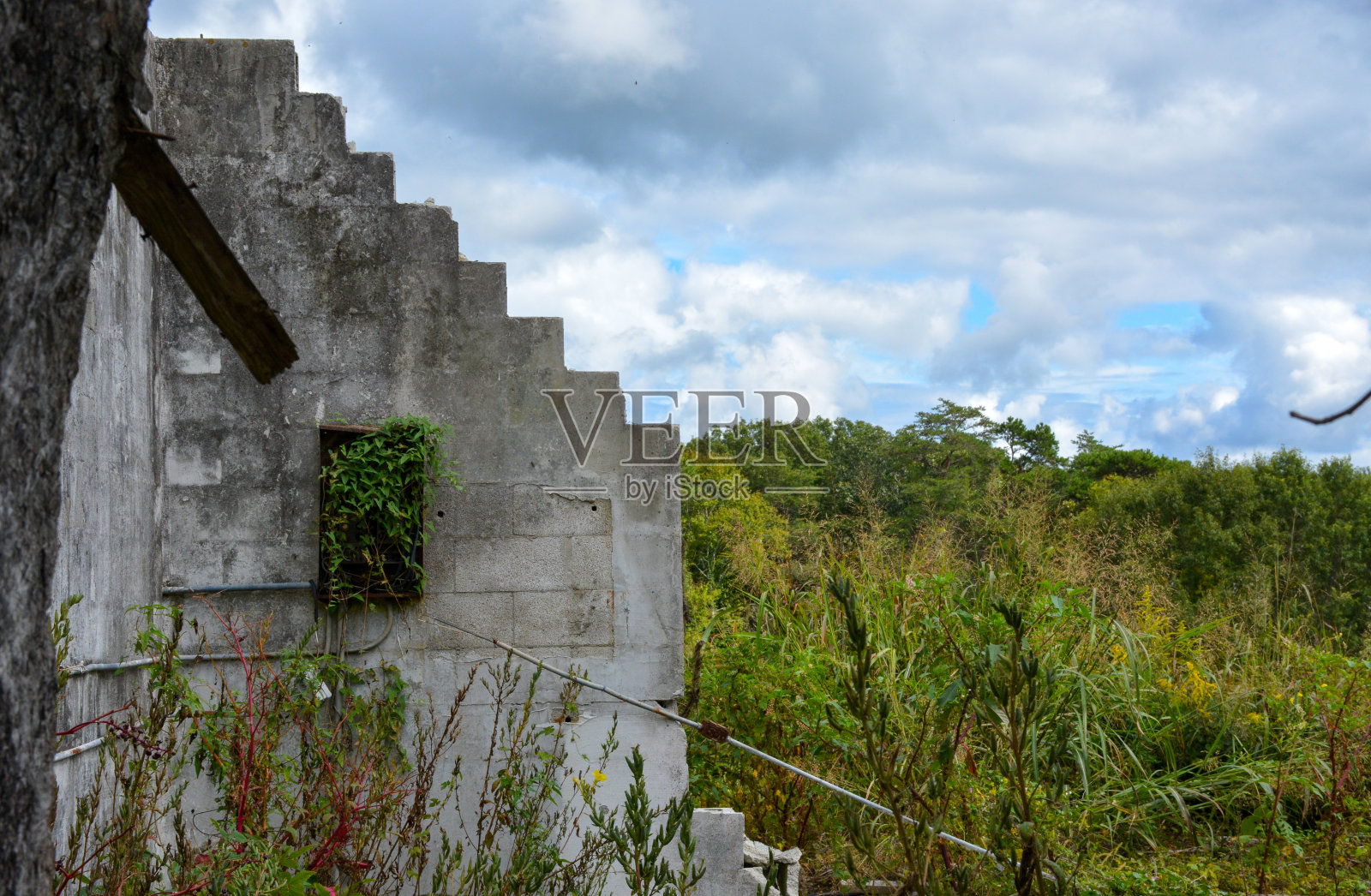 楼梯走墙照片摄影图片