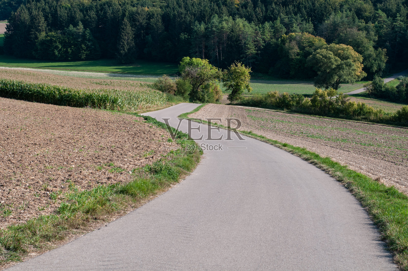 斯瓦比亚的一条蜿蜒的乡村公路照片摄影图片