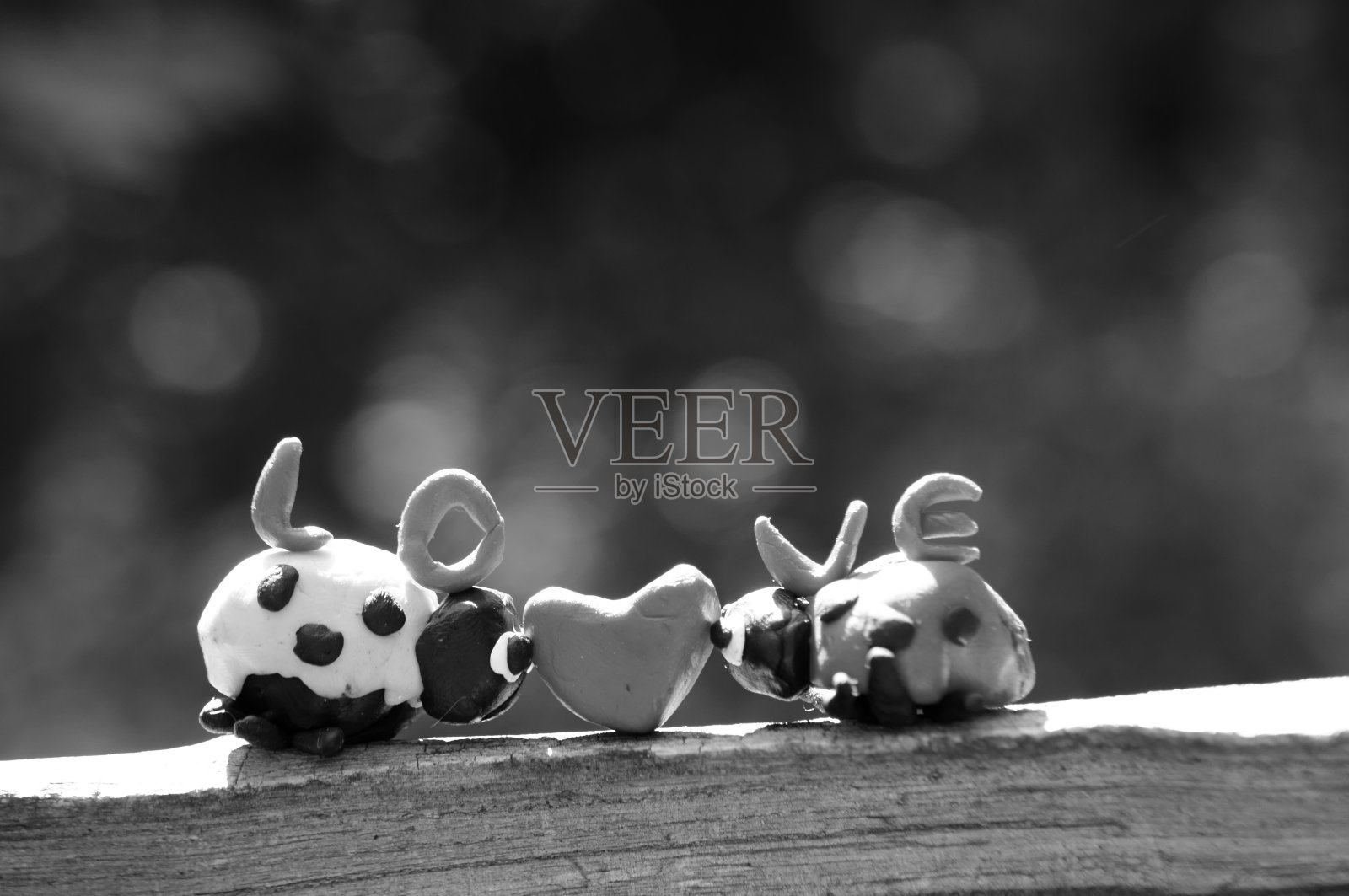 木制表面上的两只瓢虫。照片摄影图片