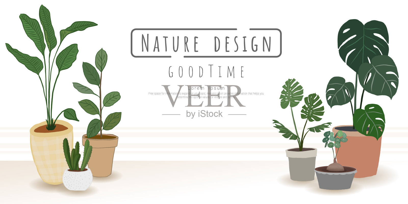 植物向量集，室内外景观园林盆栽植物。插画图片素材