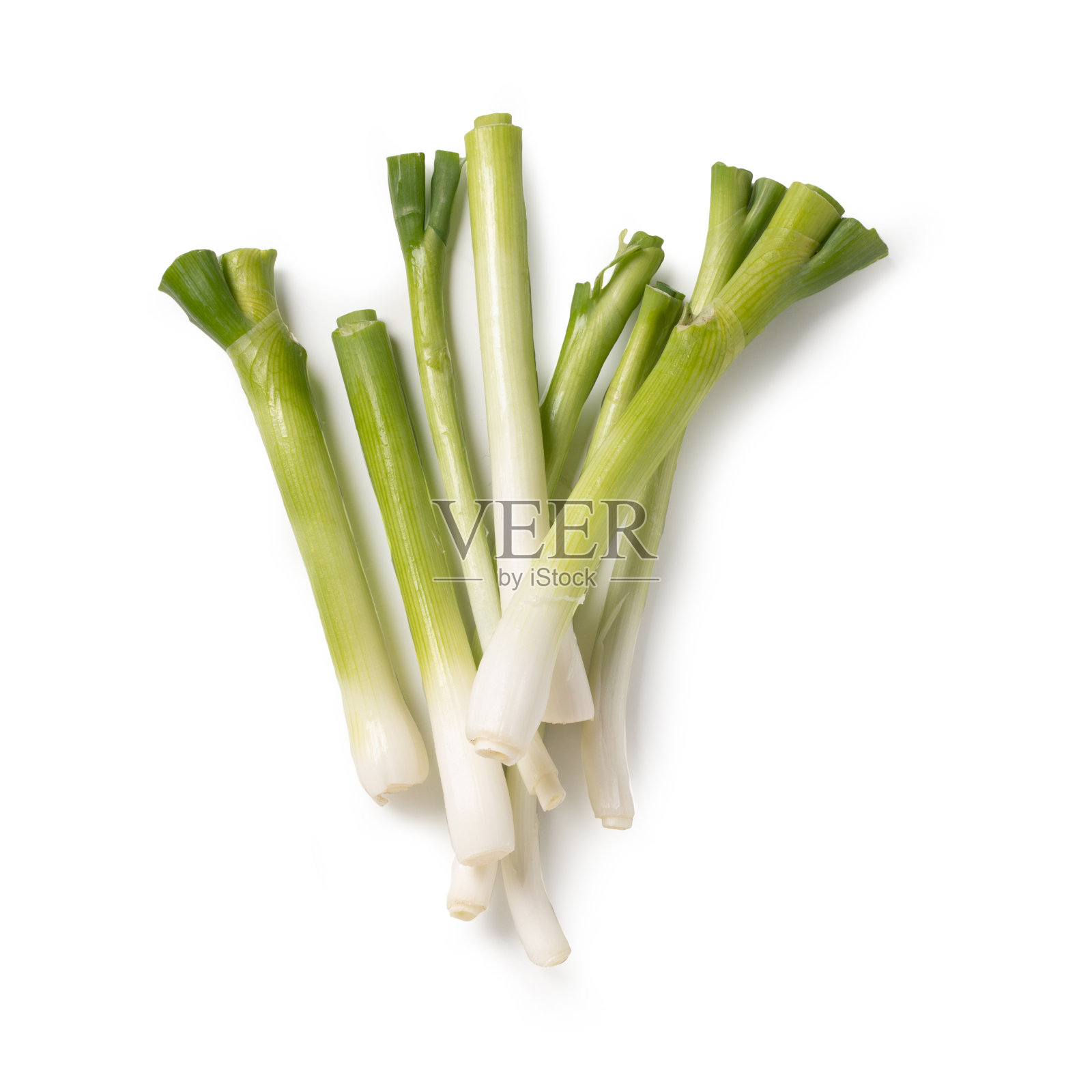 意大利《洋葱茎》照片摄影图片