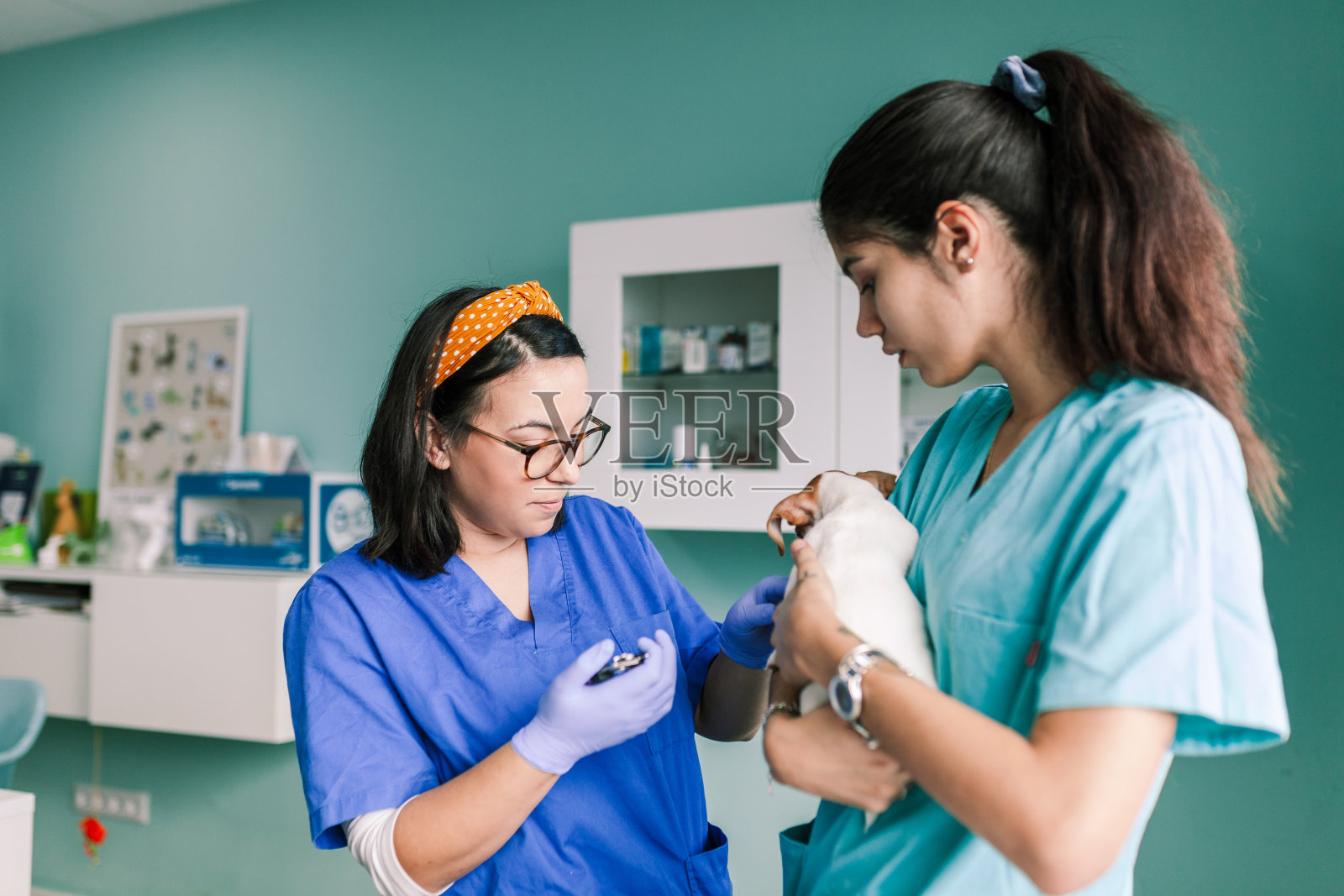 兽医带着一只狗在诊所里检查照片摄影图片