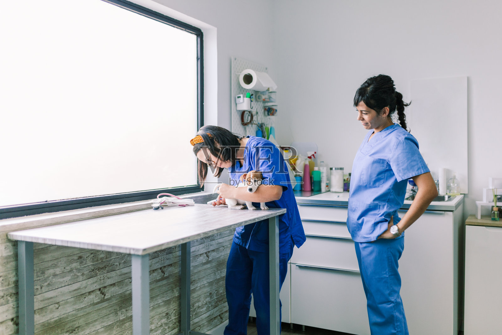 兽医带着一只狗在诊所里检查照片摄影图片