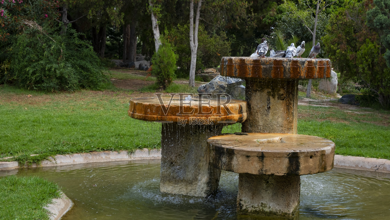 巴伦西亚城市公园照片摄影图片