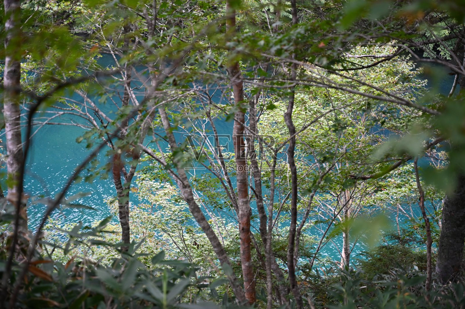 联沼志贺湖高地照片摄影图片