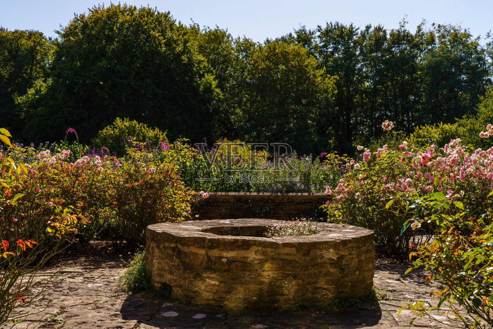 英国玫瑰花园里的一口水井照片摄影图片