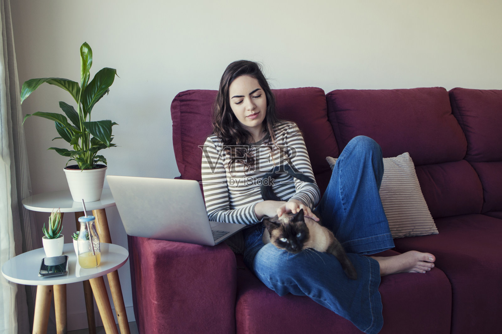 年轻女子和她的猫照片摄影图片