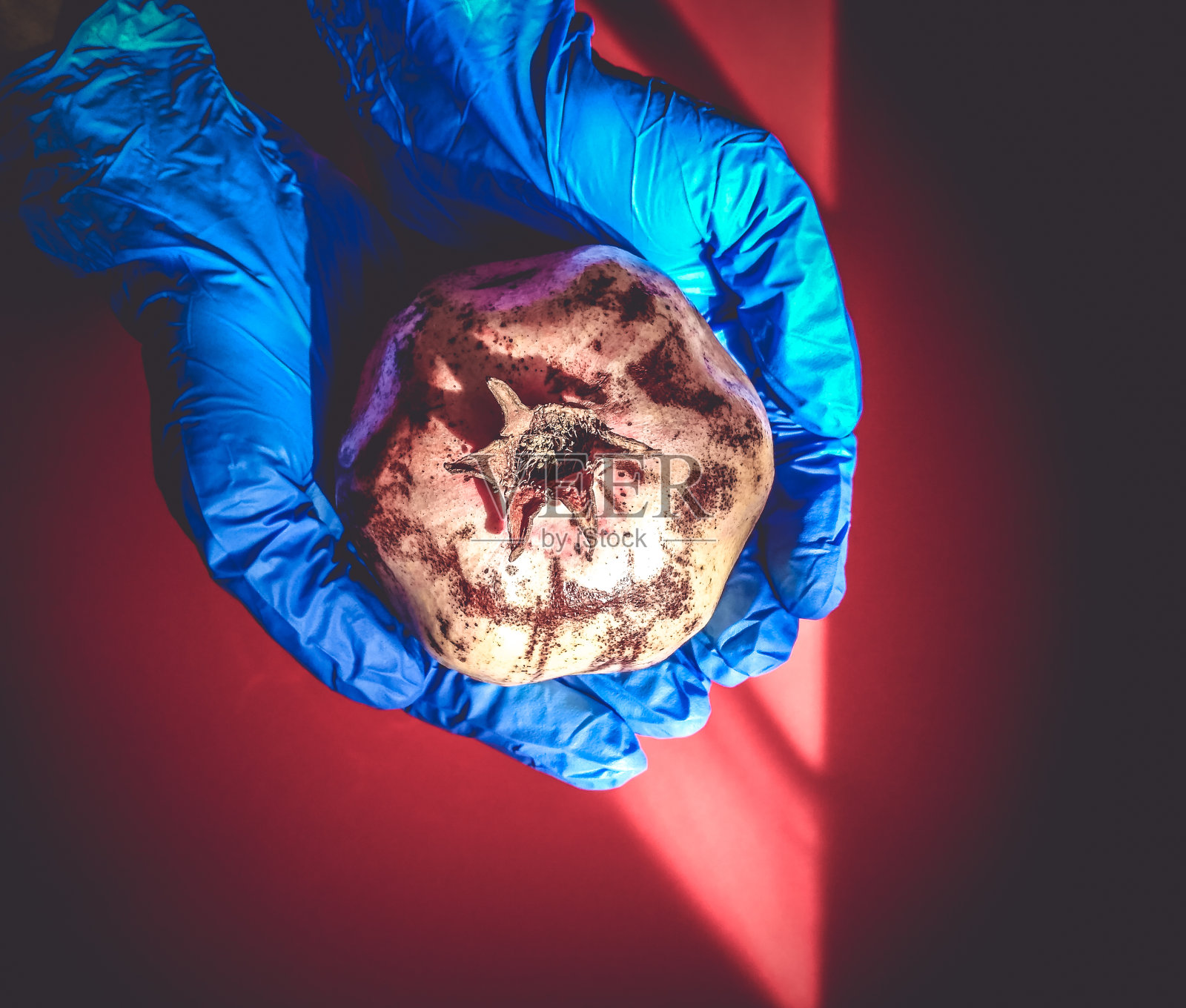 石榴交付以隔离covid - 19病毒照片摄影图片