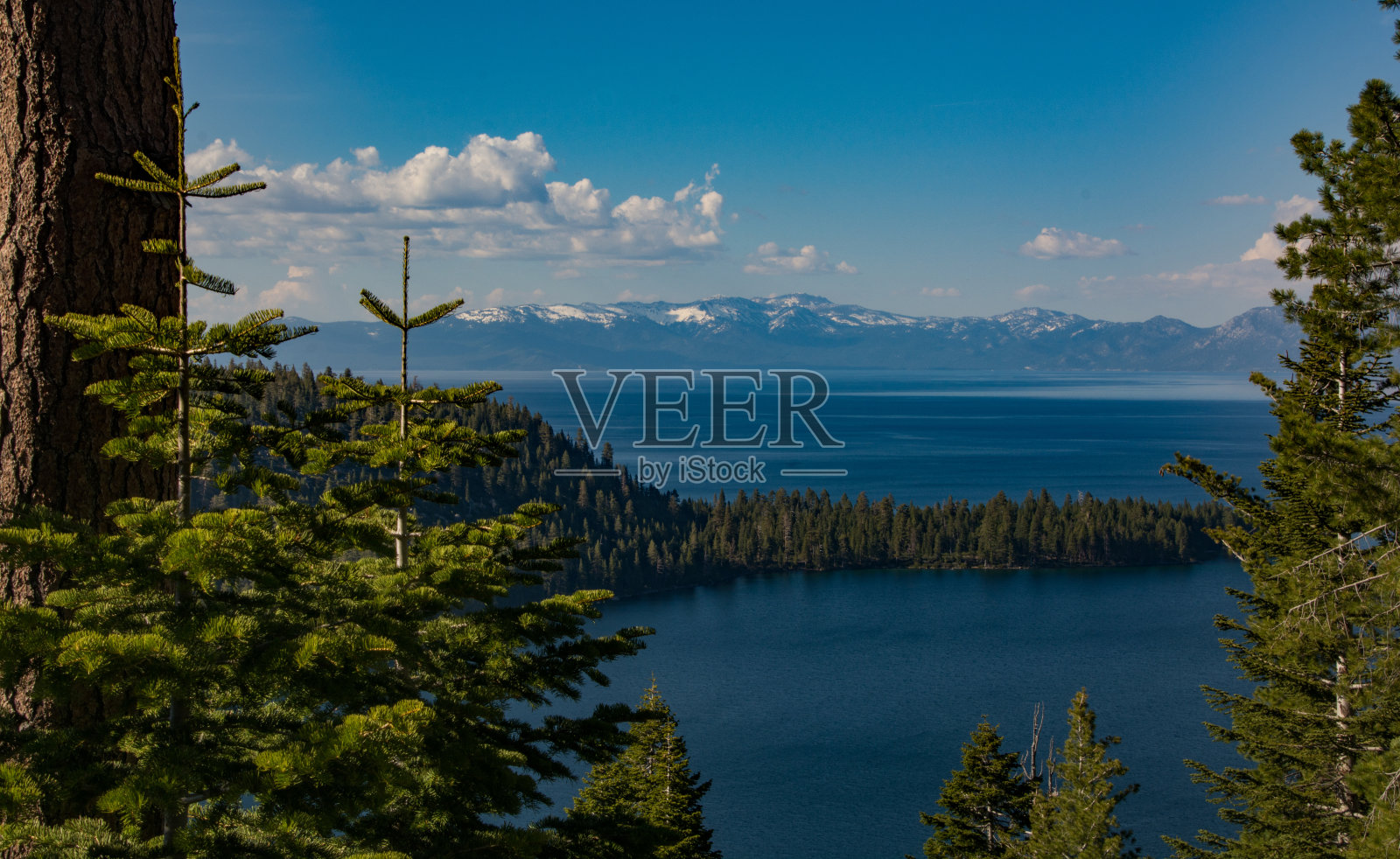 翡翠湾州立公园照片摄影图片