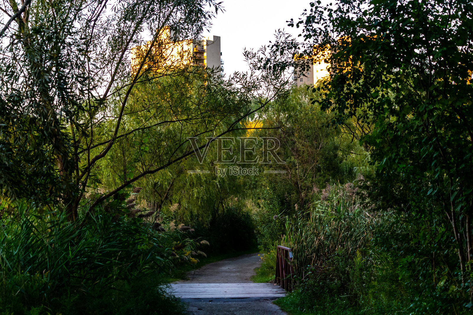 在黑暗的道路上照片摄影图片
