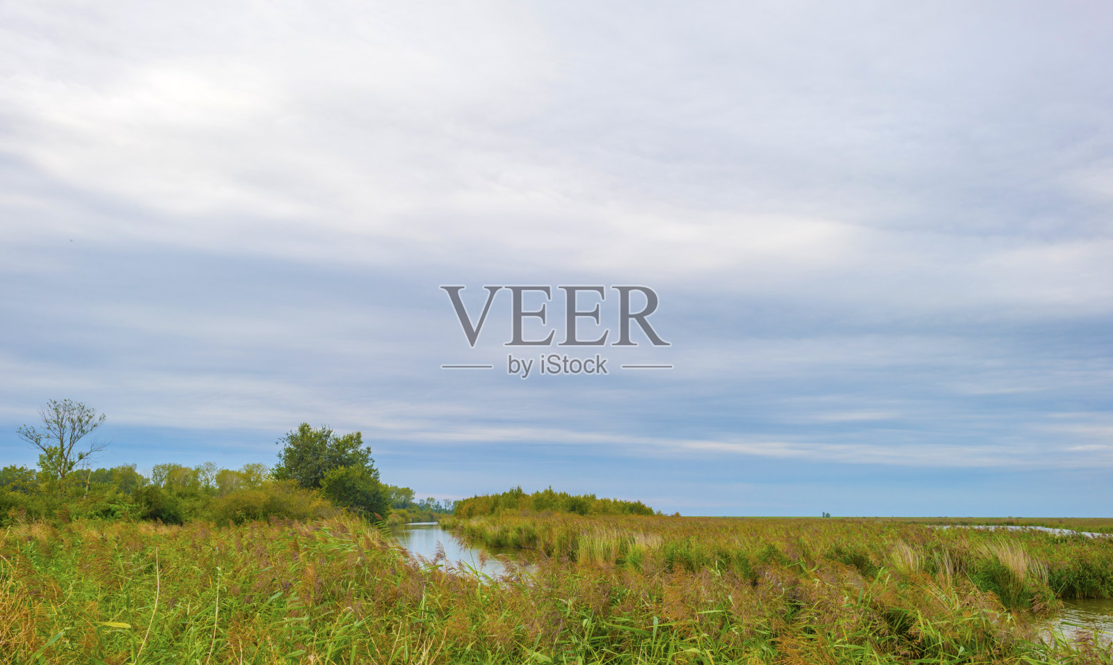 在秋天的蓝天下，在阳光下的绿色草地上的湖边照片摄影图片