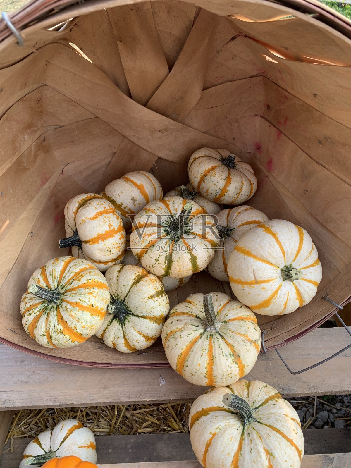 篮子葫芦照片摄影图片