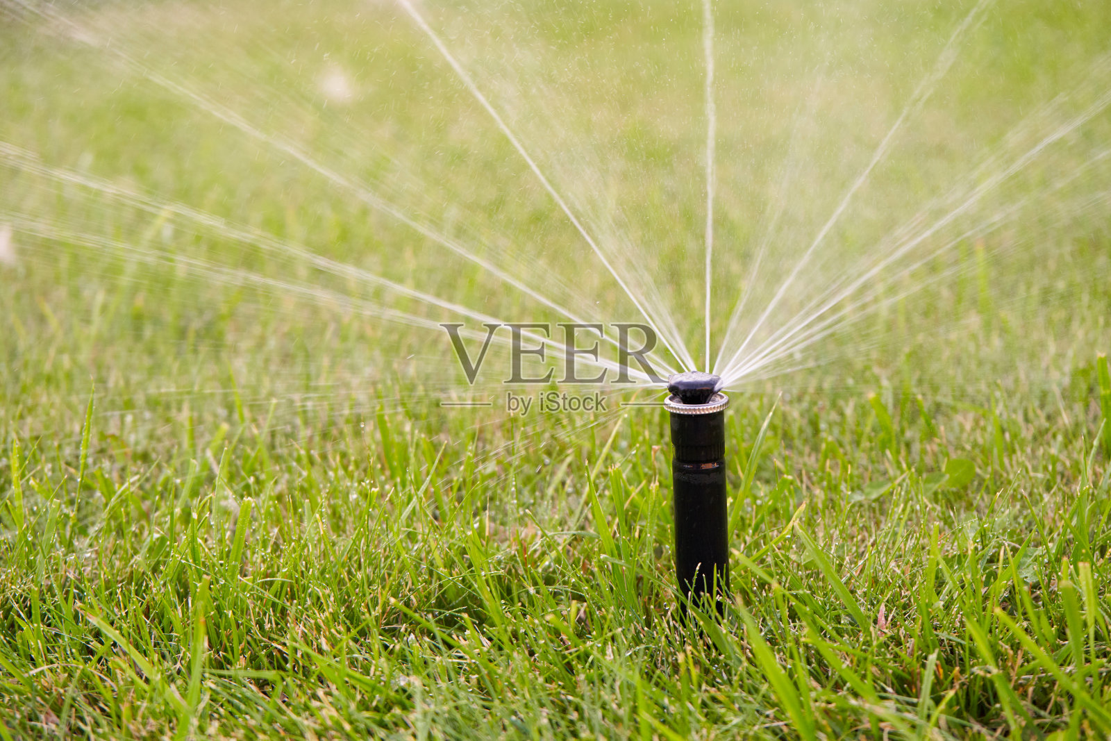 自动浇灌系统浇灌自家花园的草坪照片摄影图片