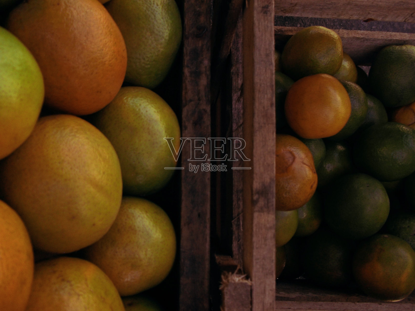 橙子照片摄影图片