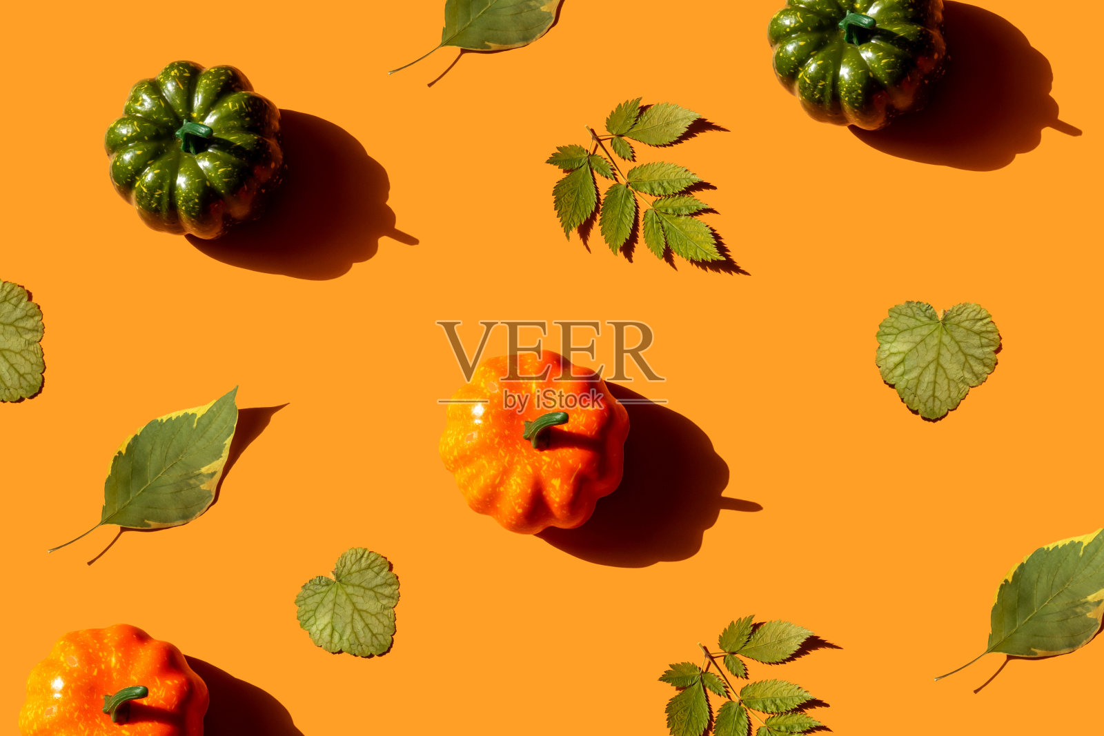 秋天平躺着南瓜，干叶。照片摄影图片