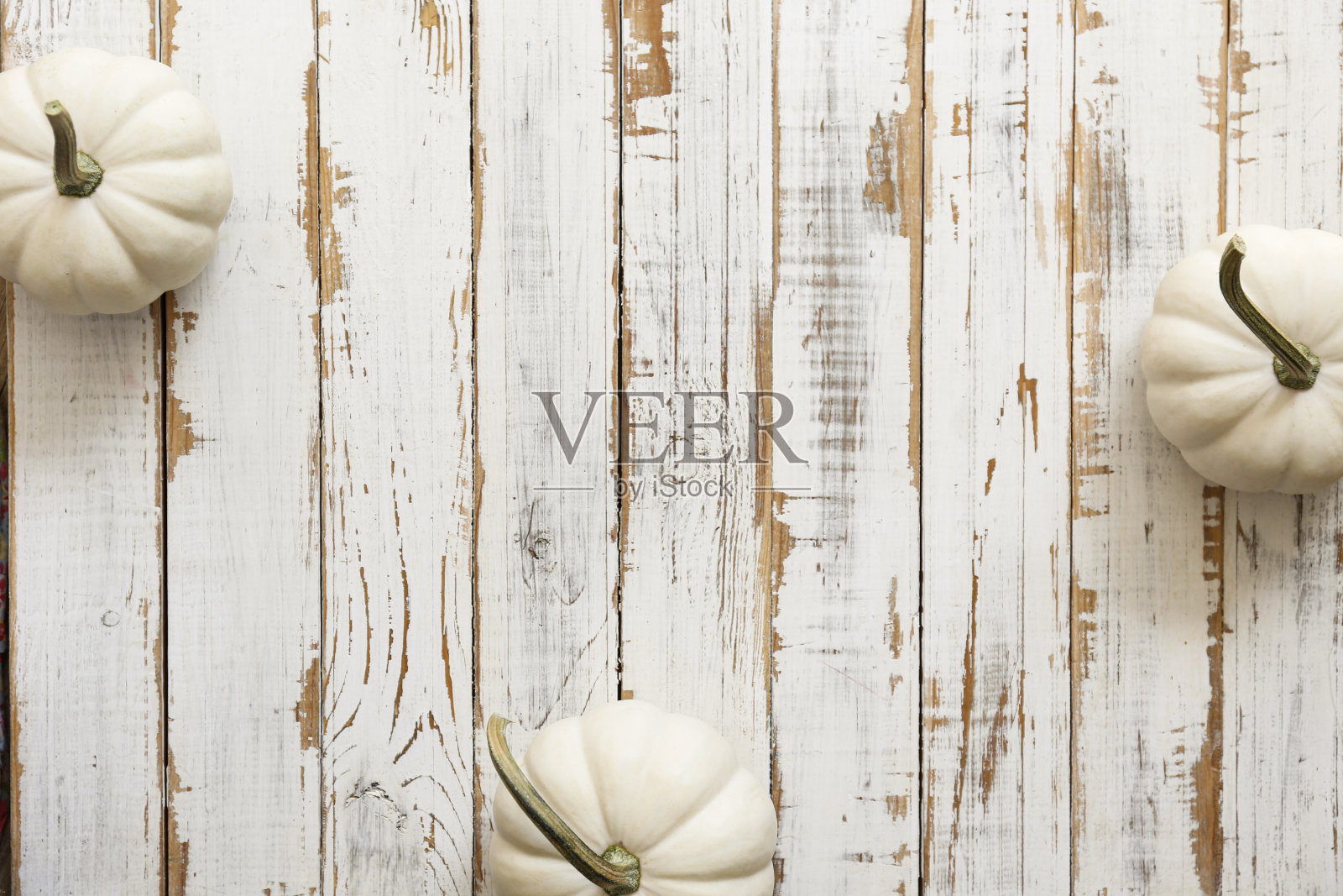 南瓜在明亮的背景。照片摄影图片