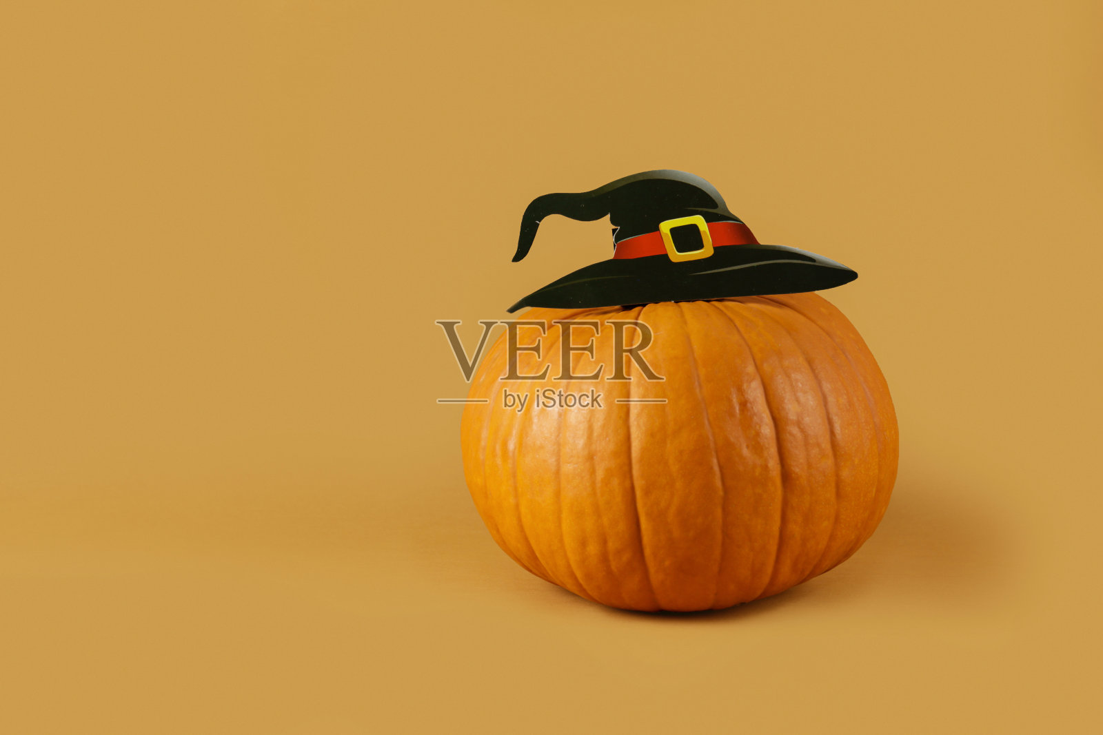 南瓜在明亮的背景。照片摄影图片