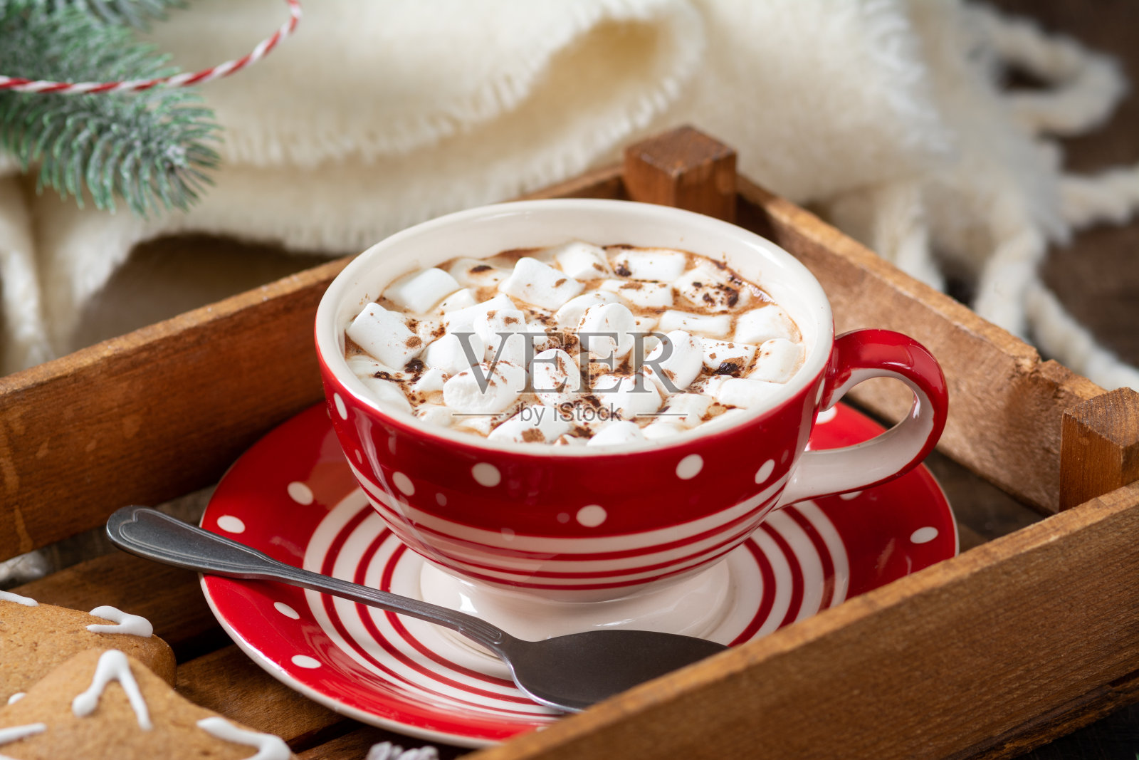 红色的杯子里放着可可和棉花糖，托盘上放着姜饼照片摄影图片