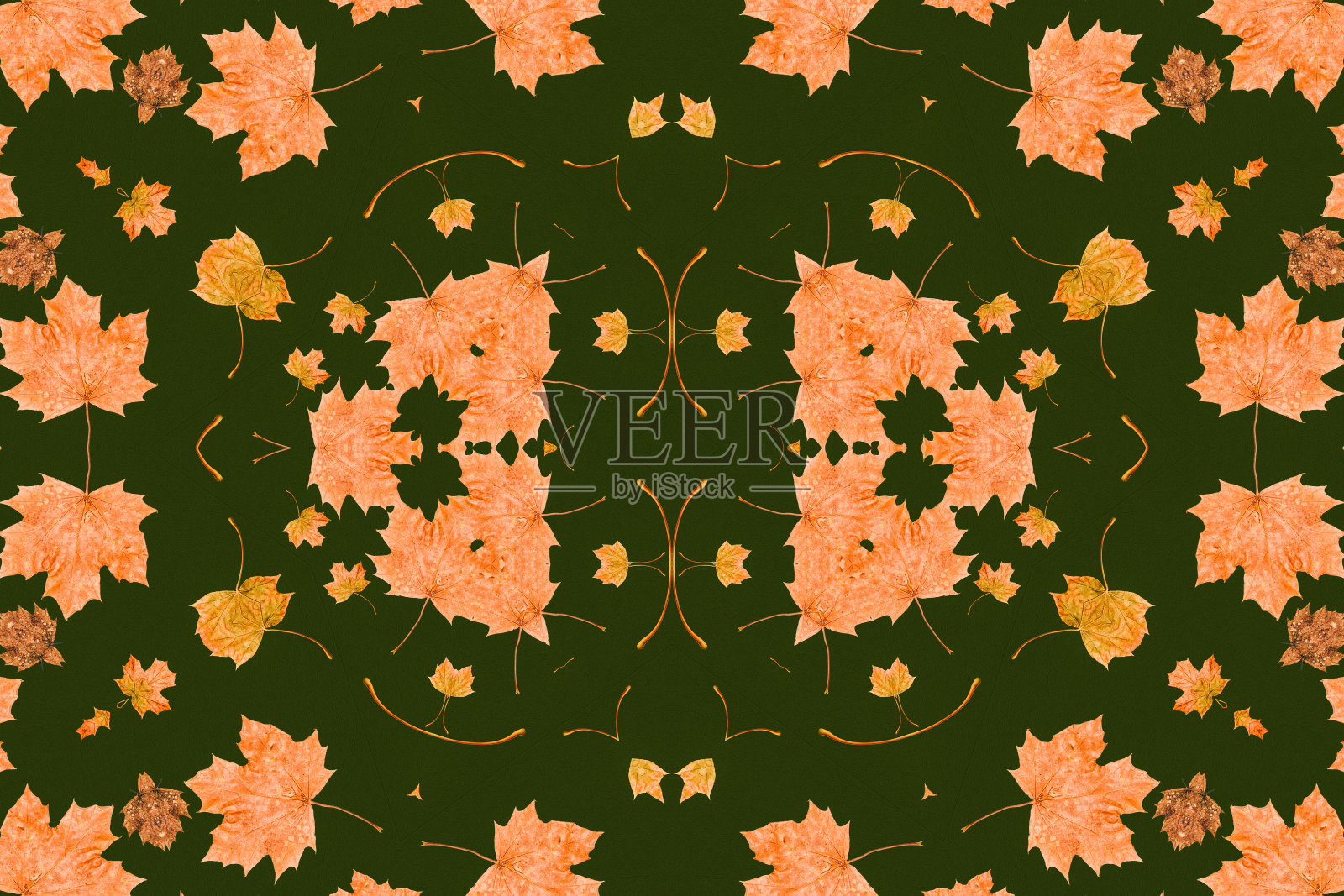 秋天的枫叶插画图片素材