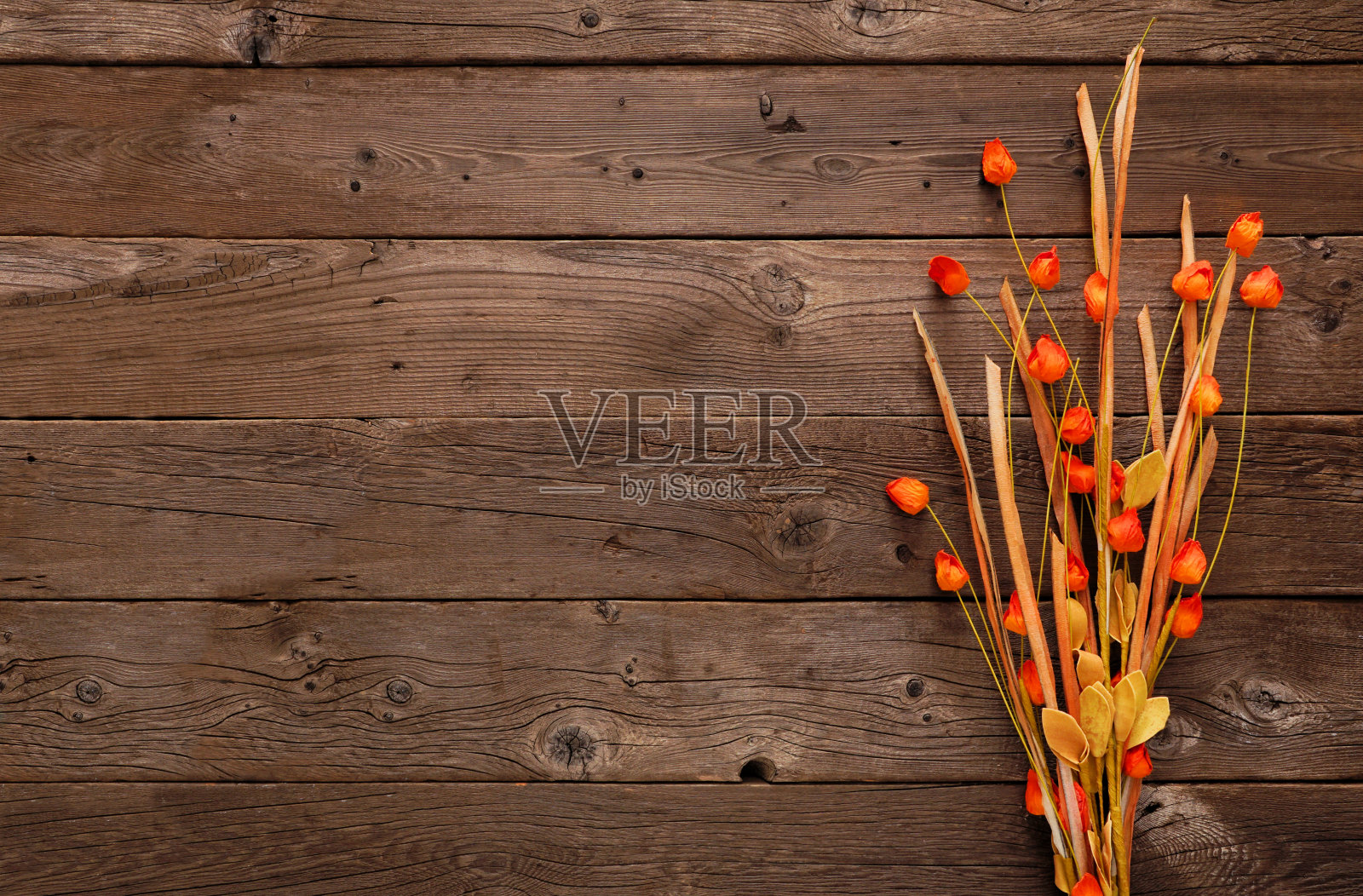 秋花灯枝叶。顶视图反对一个质朴的木材背景与复制空间。照片摄影图片