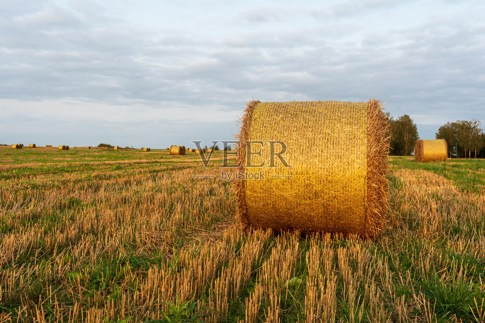 夕阳西下时，一捆捆金黄色的稻草躺在收割的田野上，秋天的傍晚，天空湛蓝，乌云密布照片摄影图片
