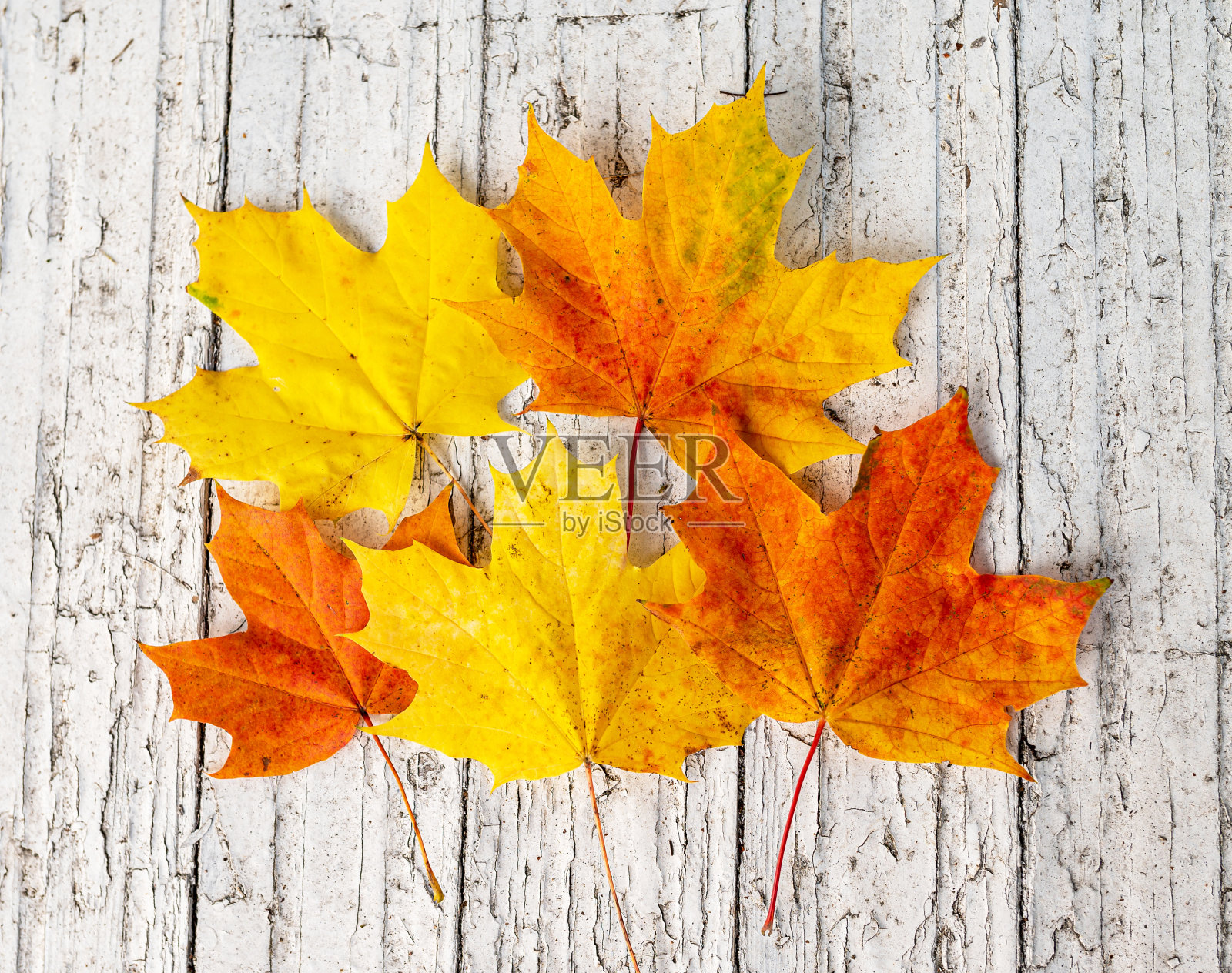 秋天的枫叶与木制的桌子背景照片摄影图片