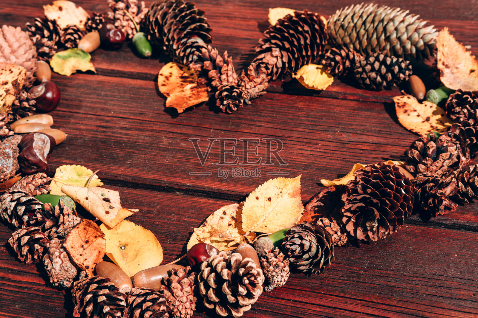 秋季纹理背景和大量的文字和设计空间。红木桌子上摆放着许多小松果、黄色落叶和绿色的橡子，呈心形。照片摄影图片