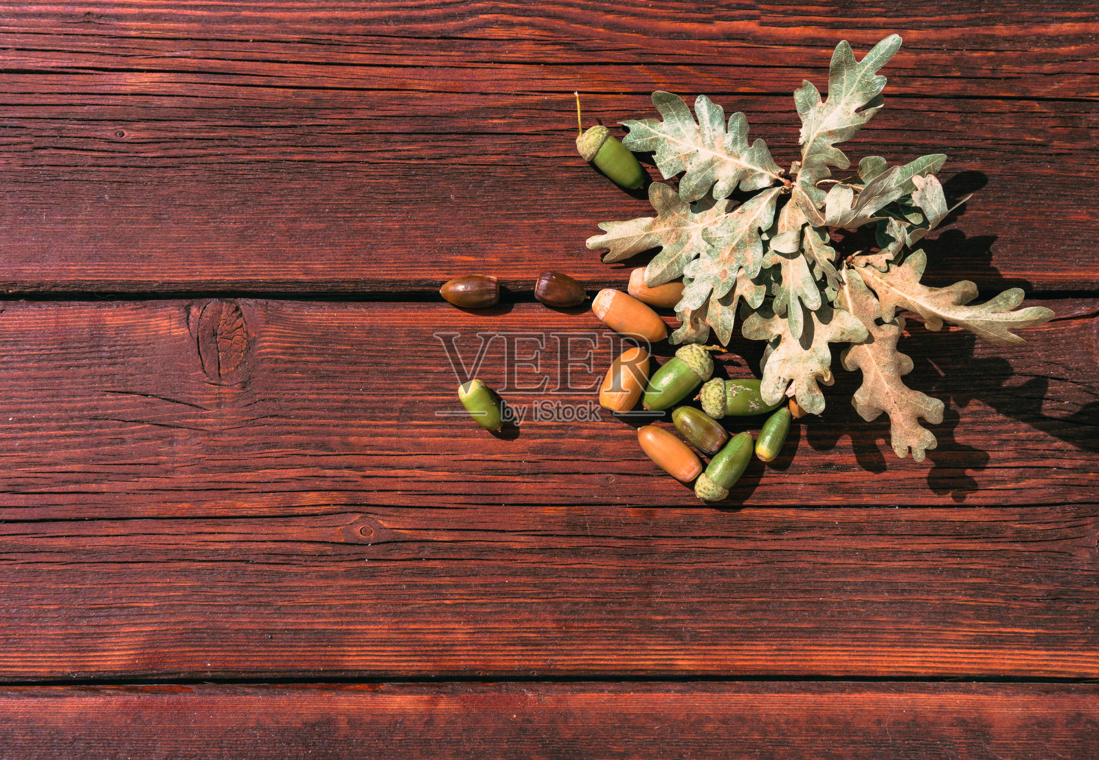 纹理秋天背景的字体和设计和它上的许多空白。木桌上放着橡树叶和橡子。照片摄影图片