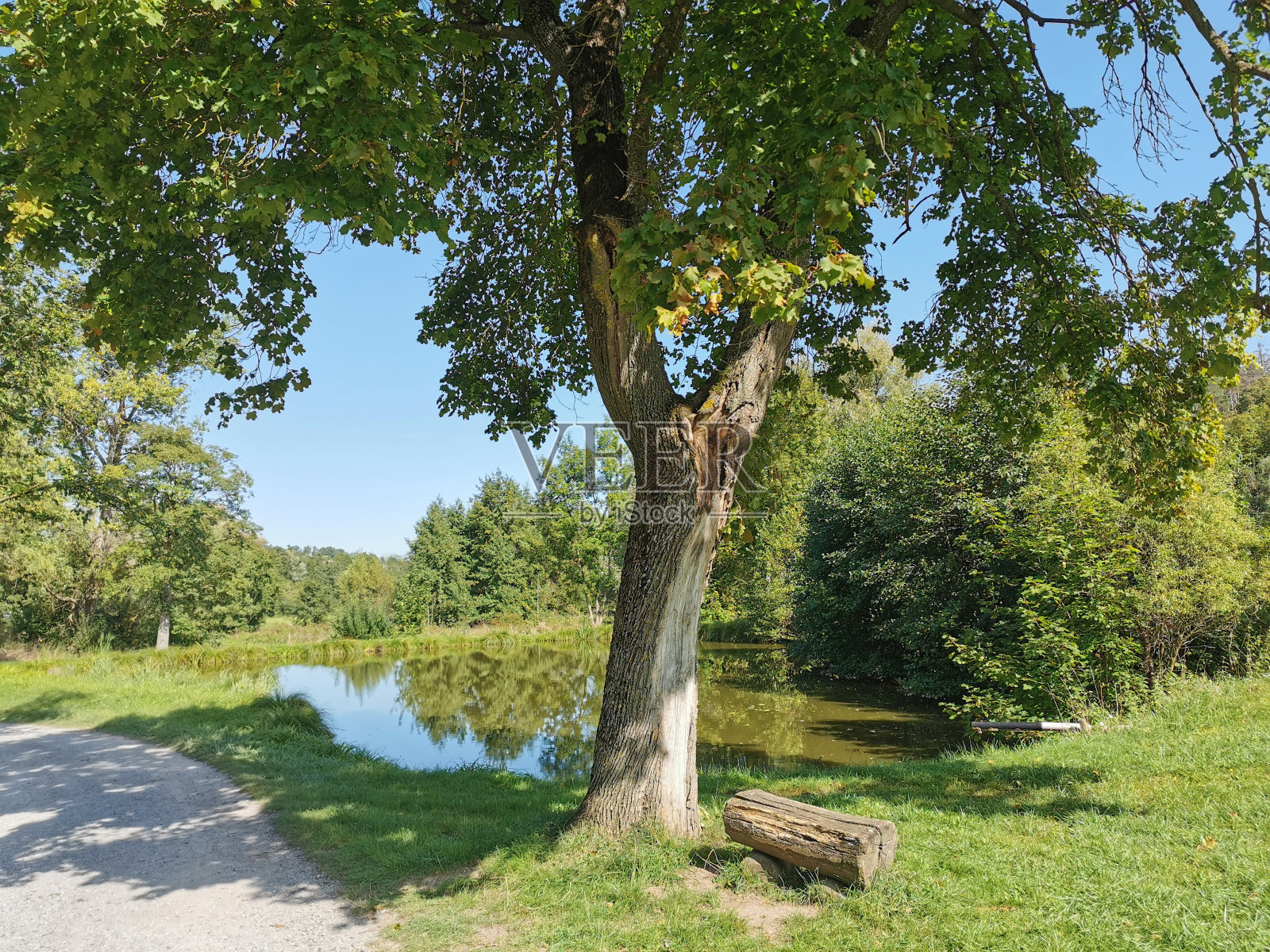 在一个美丽的风景小池塘照片摄影图片