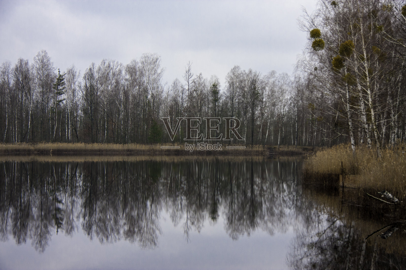 绿色旅游照片摄影图片