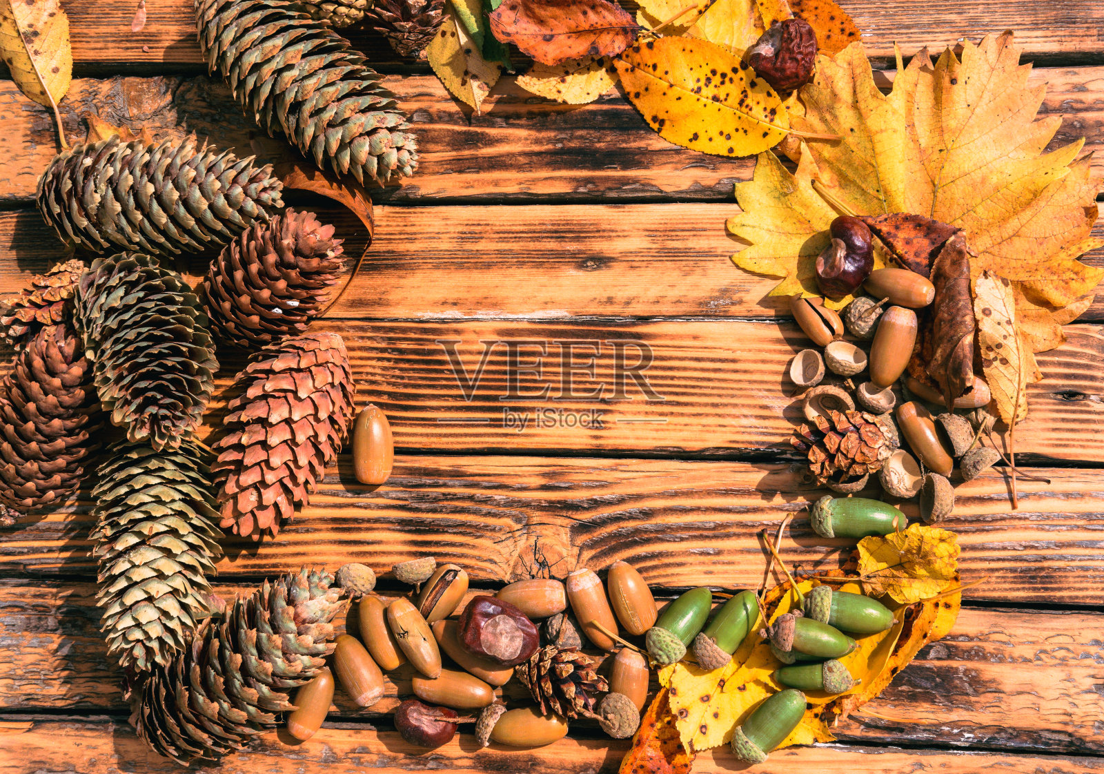 秋季纹理背景与空间的文本。木桌上有许多黄色的落叶，旁边还有橡子、栗子和松果。照片摄影图片