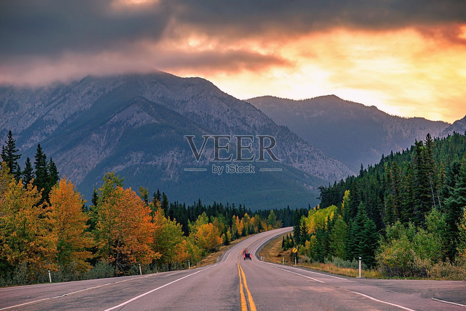 穿越秋山公园的风景之路照片摄影图片