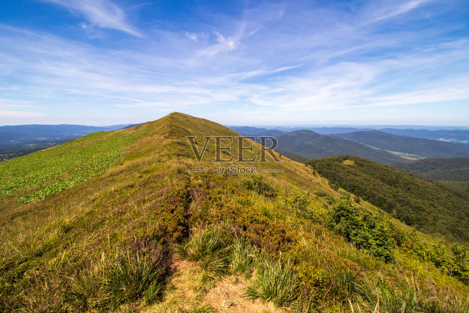 比什查迪波奥尼娜·卡里什卡照片摄影图片