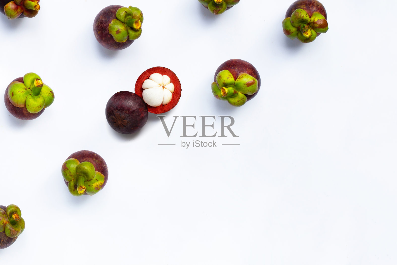 白底山竹。照片摄影图片