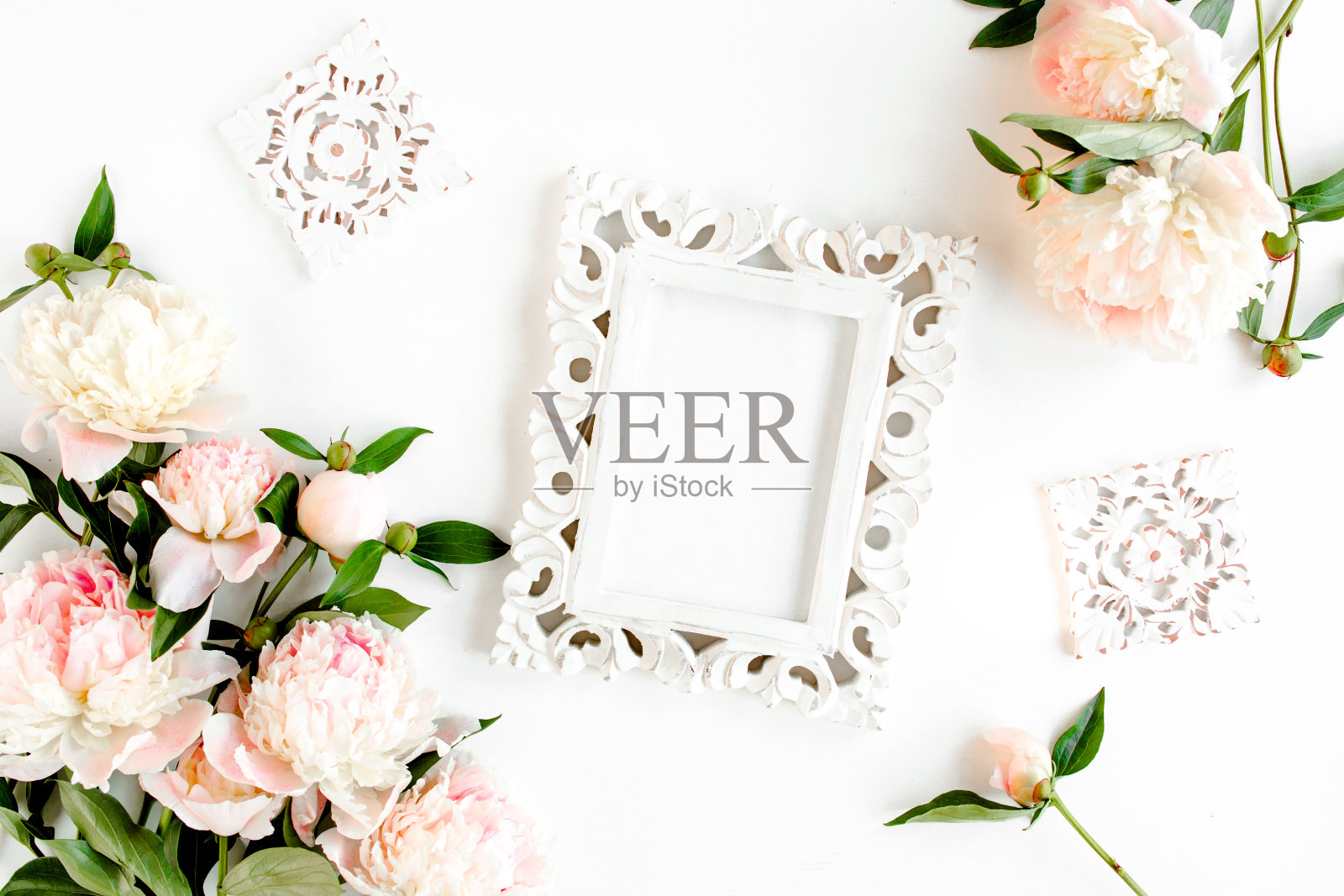雕刻，白色框架装饰美丽的粉红色牡丹在白色的背景。平躺，俯视图。情人节的背景。花的框架。牡丹纹理照片摄影图片