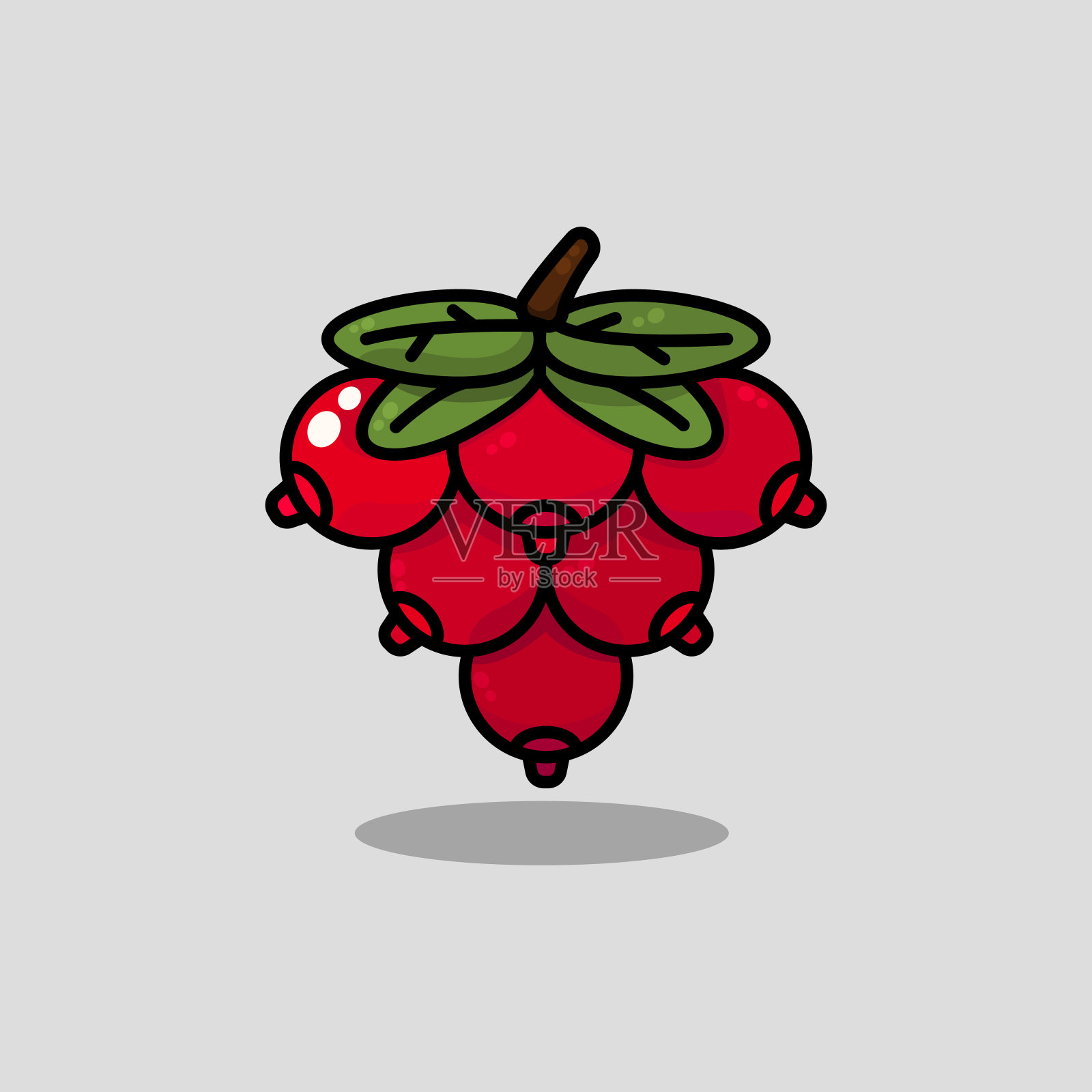 蔓越莓插画图片素材