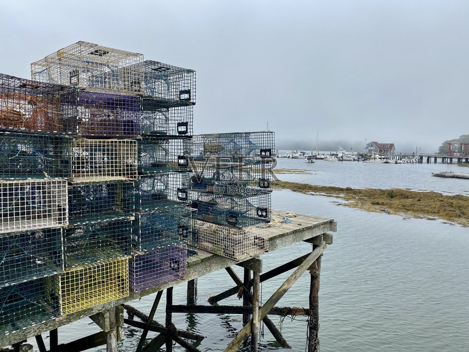 龙虾陷阱照片摄影图片