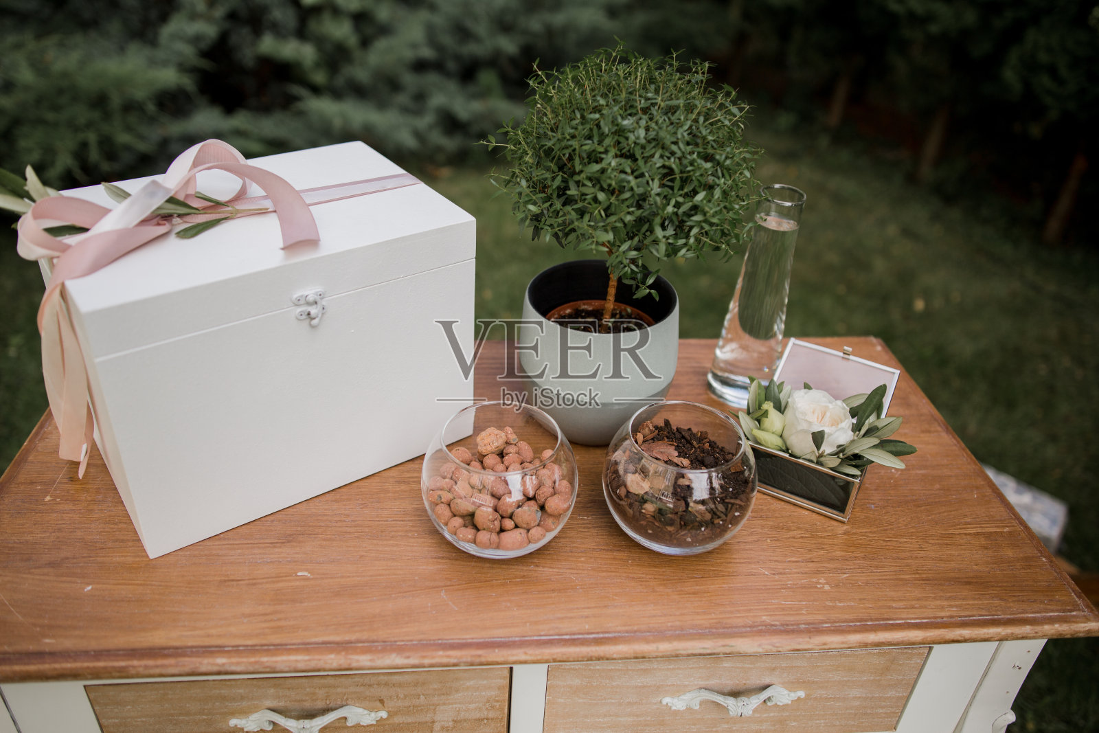 桌子上的小装饰树照片摄影图片