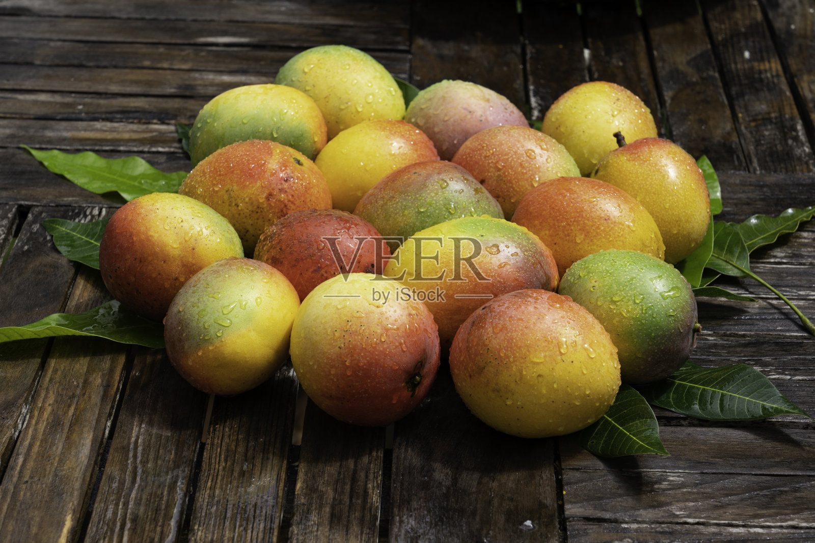 刚收获的芒果照片摄影图片