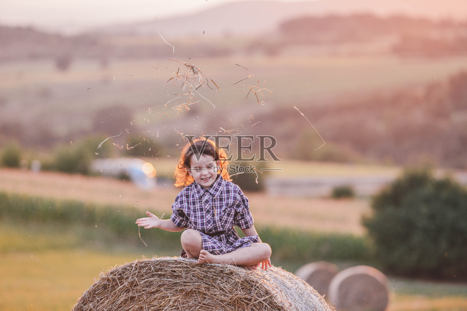 夏季照片摄影图片