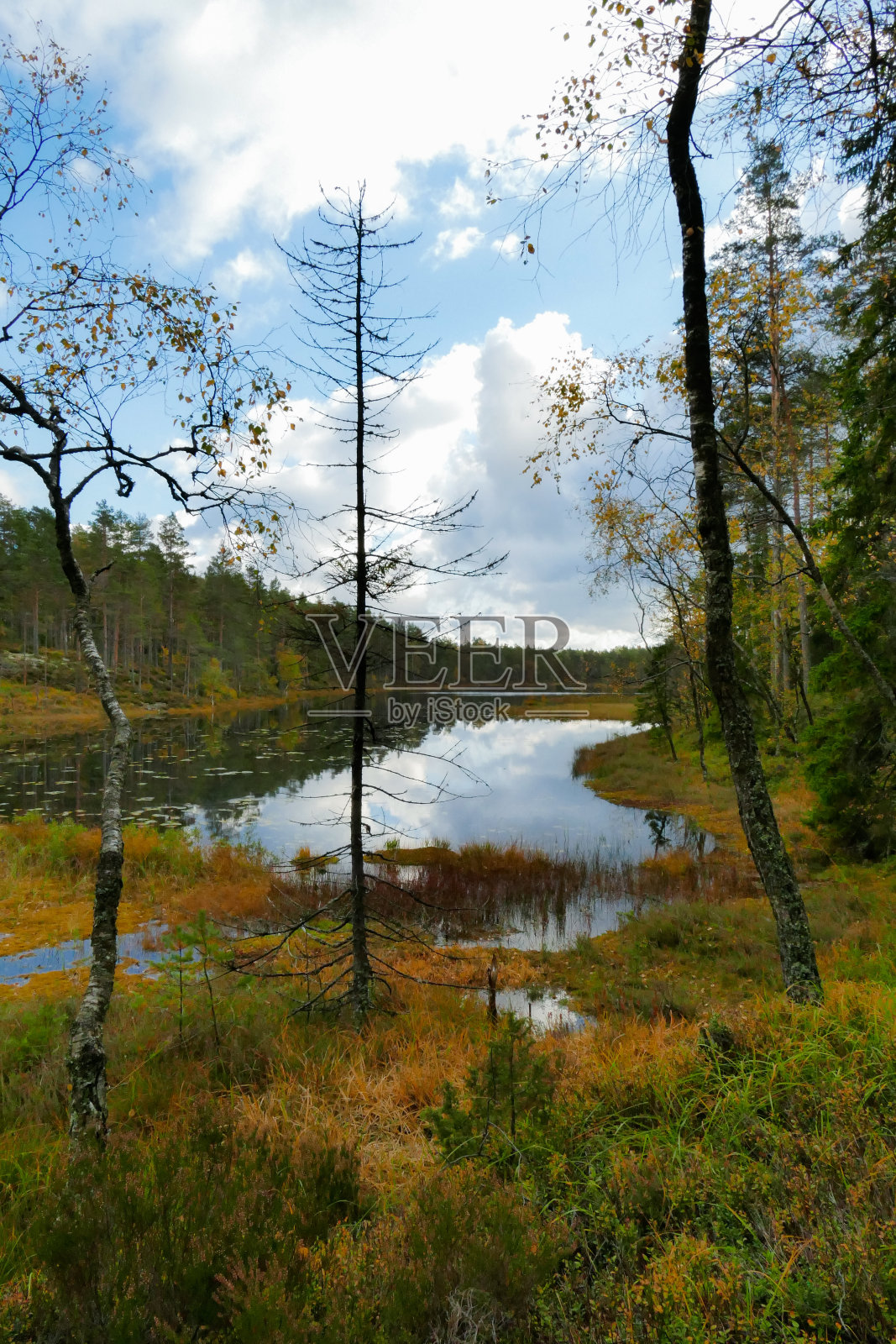 特雷斯蒂克兰国家帕奇照片摄影图片