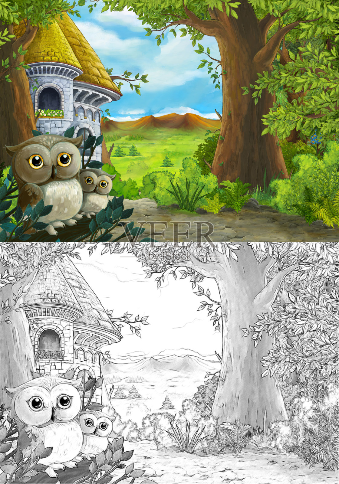 卡通场景与猫头鹰在森林和路径到山谷-插图插画图片素材