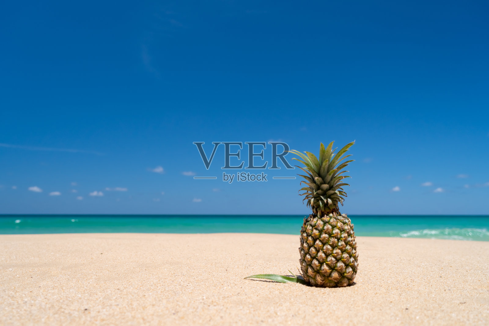 沙上菠萝与上蓝天夏季概念背景。照片摄影图片