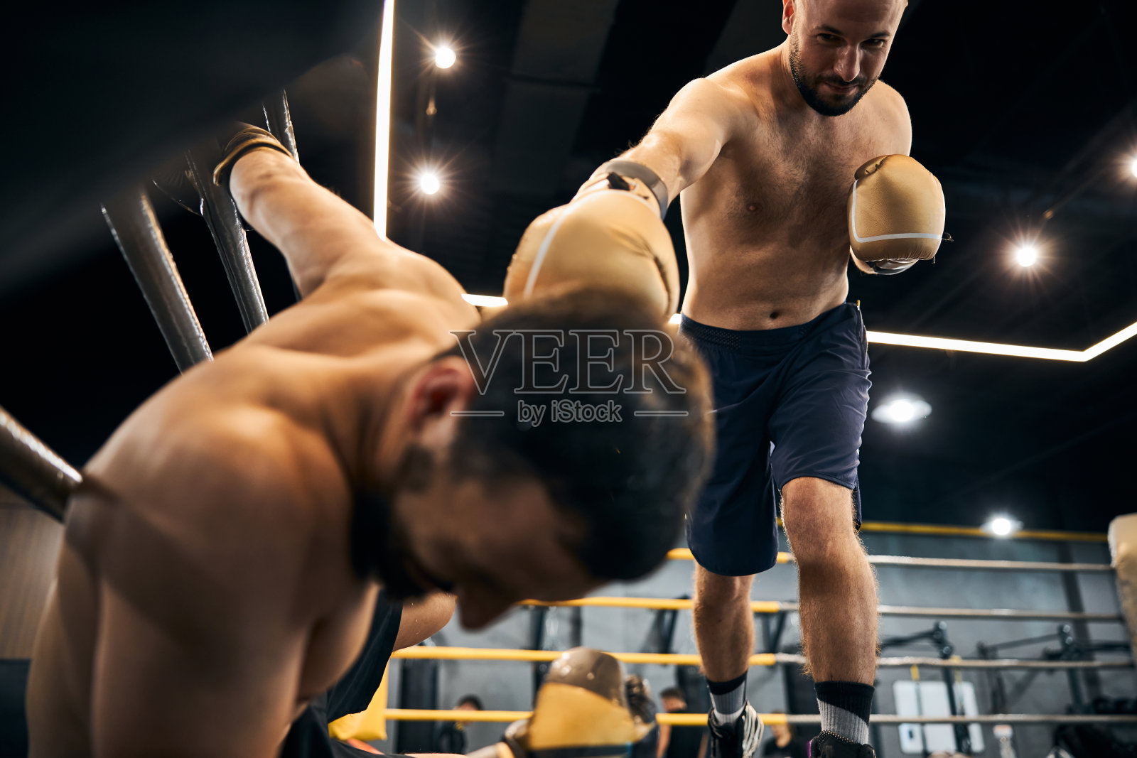 冠军正在击打躺在地上的对手照片摄影图片