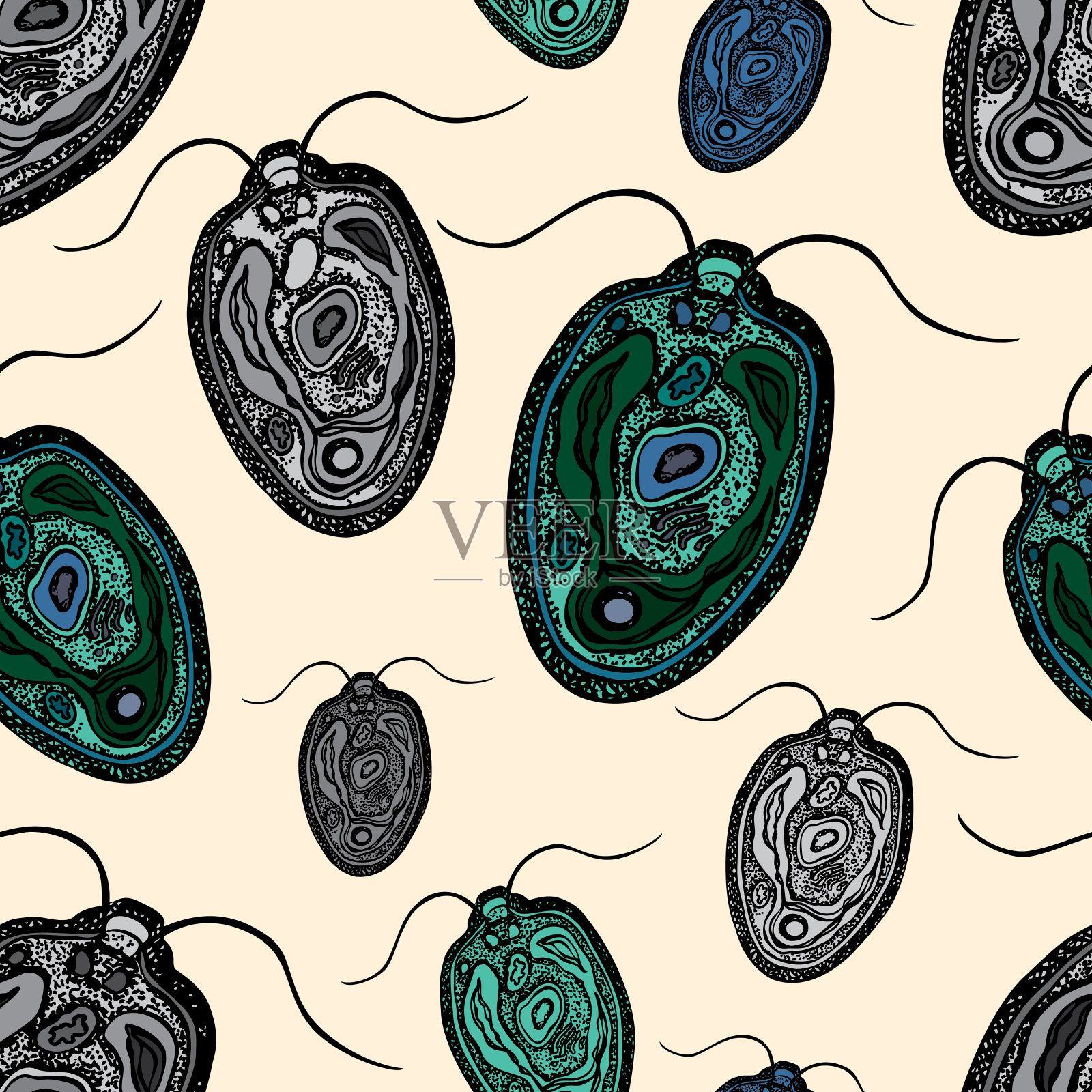 无缝背景的绿藻绿藻插画图片素材