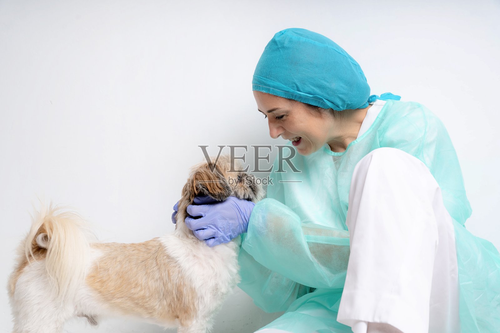 兽医与小狗在诊所看着他的眼睛和微笑照片摄影图片