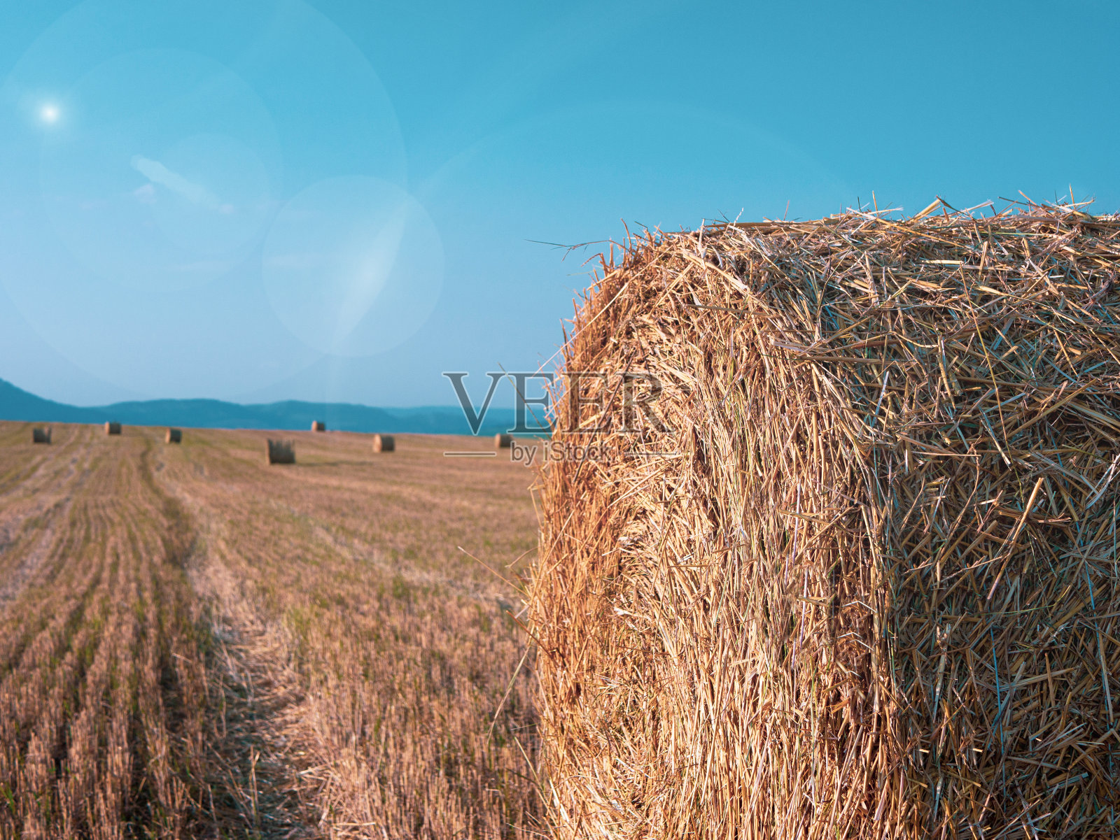 夕阳下金色的田野里干草堆成捆照片摄影图片
