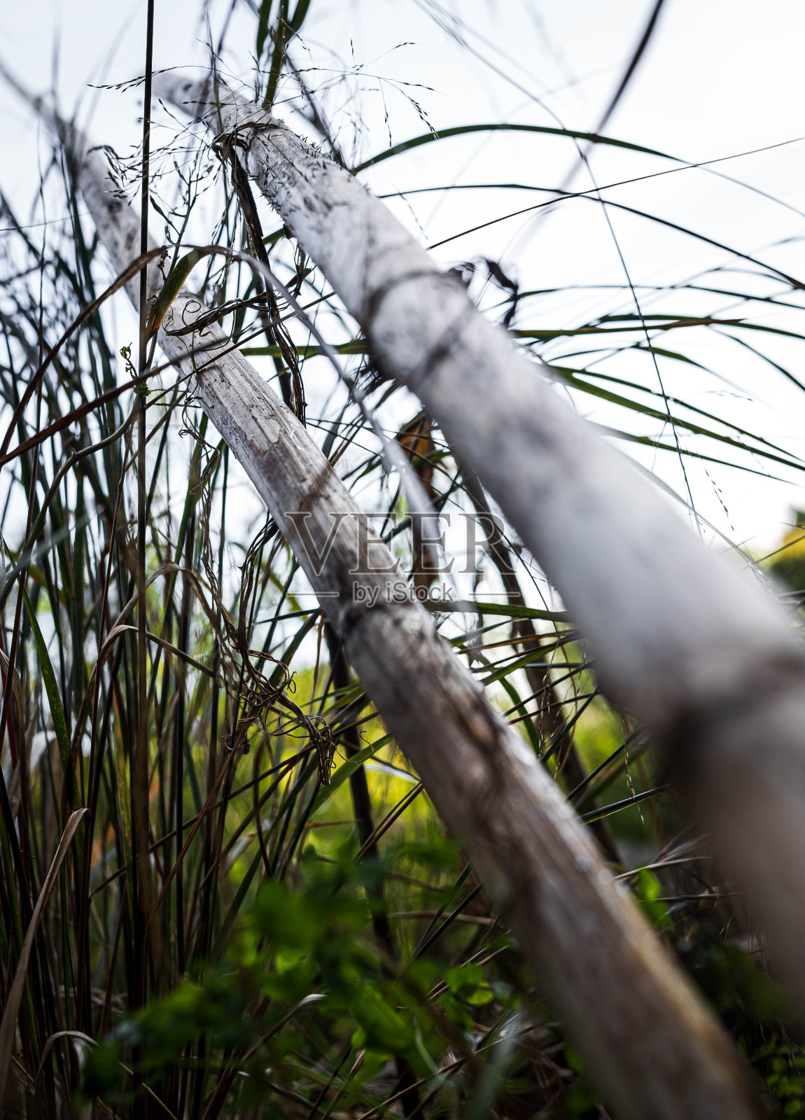 消失的贴2照片摄影图片