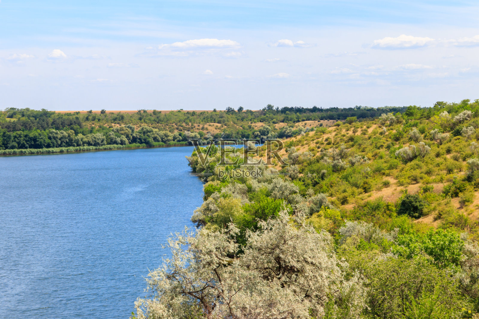 夏天的风景有美丽的河流，绿色的树木和蓝天照片摄影图片